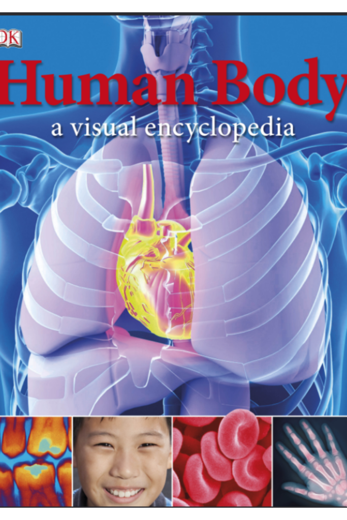 Human Body A Visual Encyclopedia
