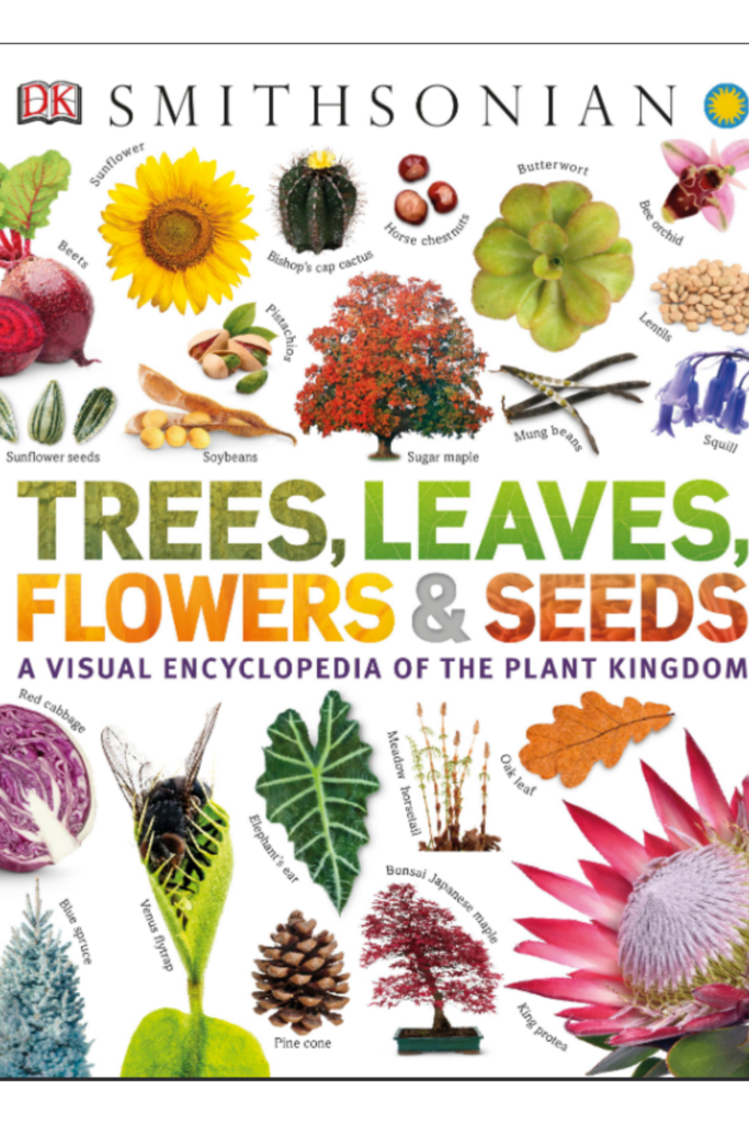Trees, Leaves, Flowers and Seeds A Visual Encyclopedia of the Plant Kingdom