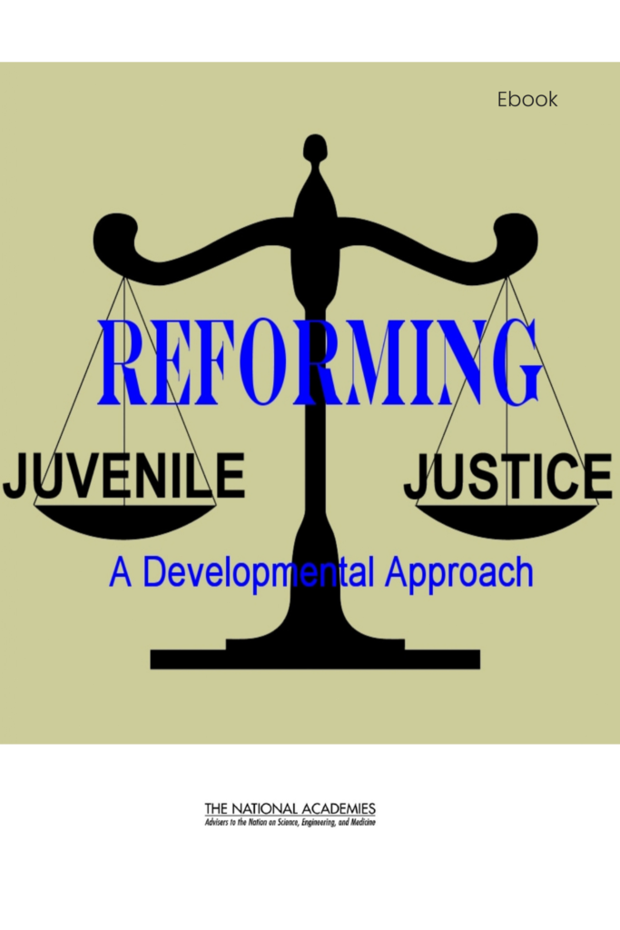 Reforming Juvenile Justice: A Developmental Approach