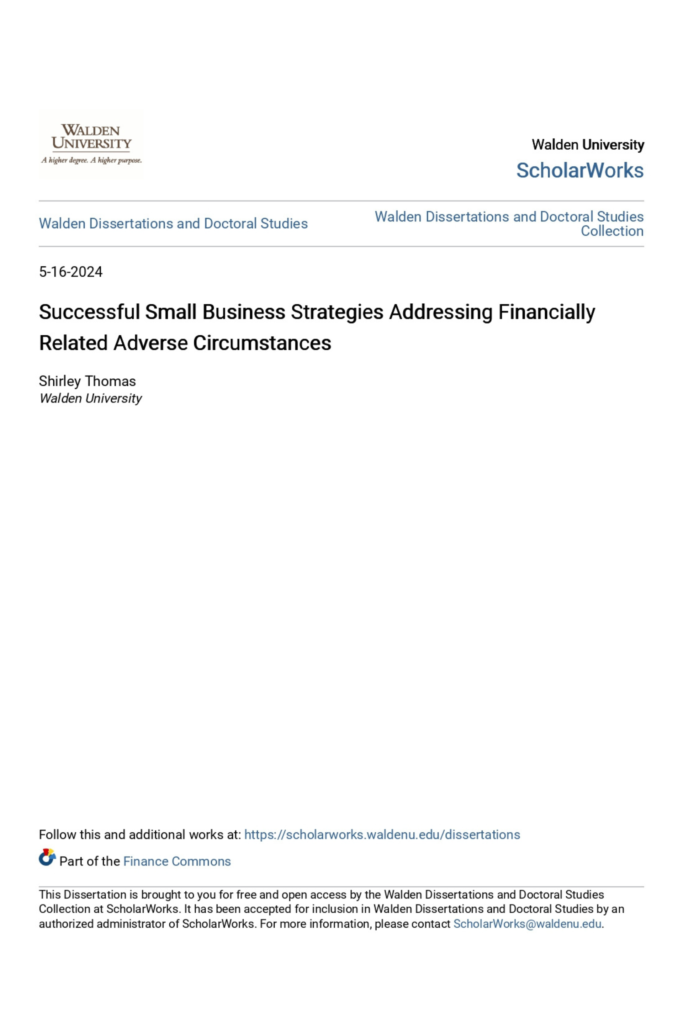 Successful Small Business Strategies Addressing Financially Vulnerable  Sole Proprietorships
