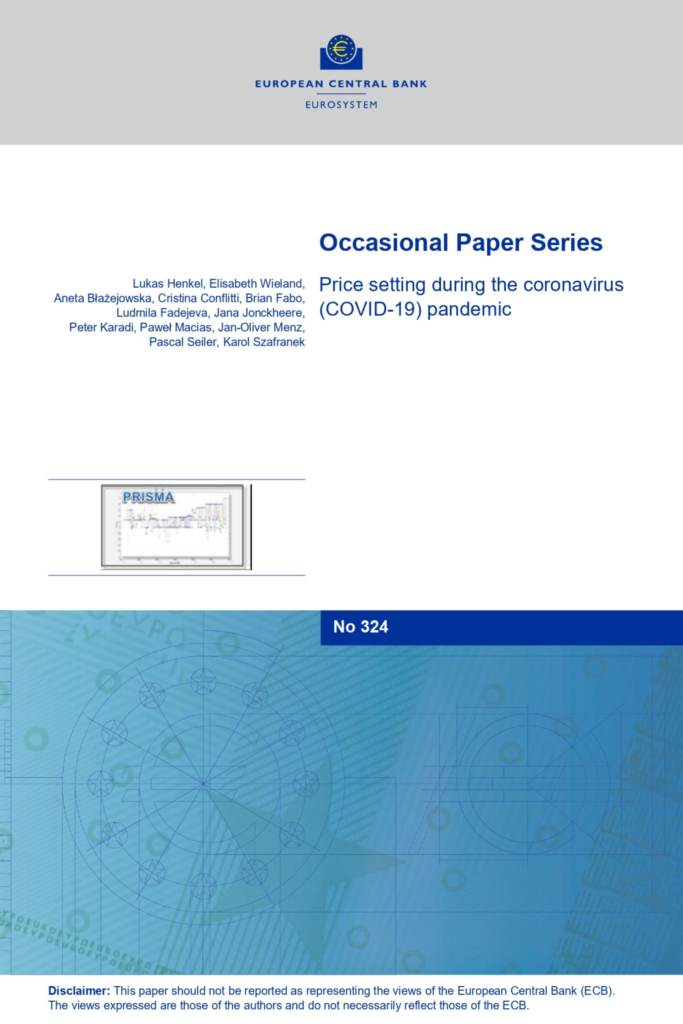 Price setting during the coronavirus (COVID-19) pandemic