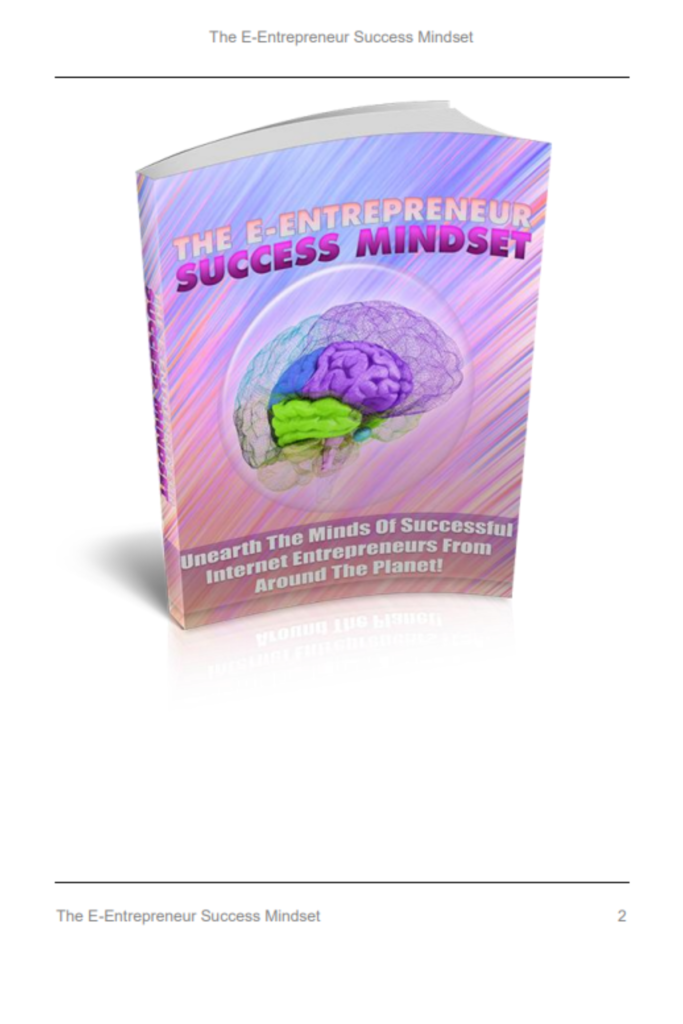 Netrepreneur Success Mindset