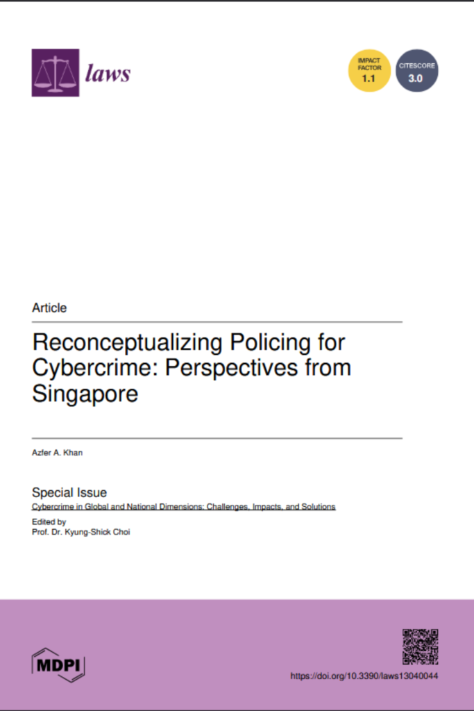 Reconceptualizing Policing for Cybercrime Perspectives