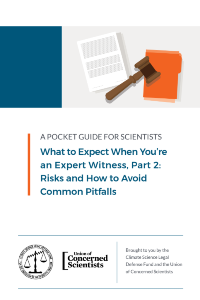 What to Expect When You’re an Expert Witness, Part 2