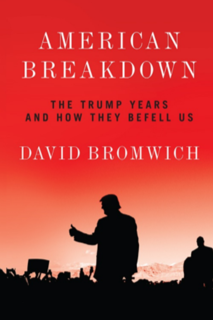 American Breakdown: The Trump Years and How They Befell Us