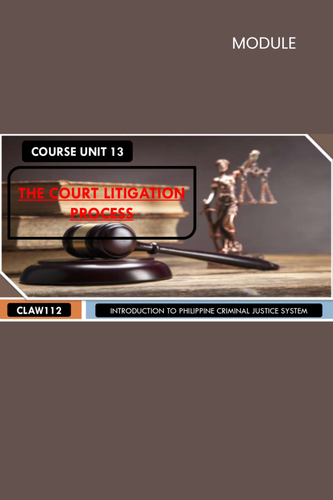 Course Unit 13: The Court Litigation Process