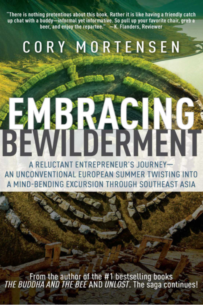 Embracing Bewilderment: A Reluctant Entrepreneur’s Journey— An Unconventional European Summer Twisting into a Mind-Bending Excursion through Southeast Asia